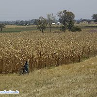 2015-09-22 10-13-09