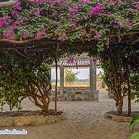 2015-08-26 16-55-34 hdr