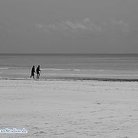 2015-08-31 13-31-35