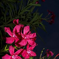 2015-09-01 17-52-31