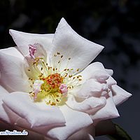 2015-09-01 18-05-18