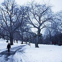 2014-02-12 23-09-57