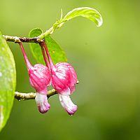 2017-04-15 08-51-04
