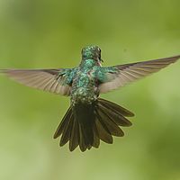 2017-04-08 12-48-53