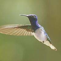 2017-04-08 13-22-28