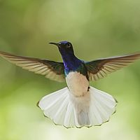 2017-04-08 14-54-17-3