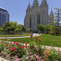 2017-06-22 14-12-15