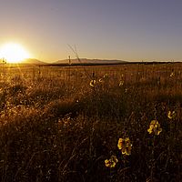 2017-06-23 05-17-34