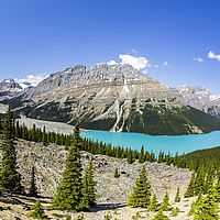 2017-07-02 11-44-00 stitch