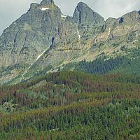 2017-07-03 08-53-10