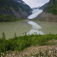 2017-07-07 08-56-15