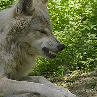 2017-06-30 14-42-22-5