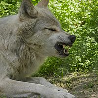2017-06-30 14-42-34-7