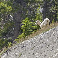 2017-07-02 14-16-13