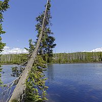 2017-06-24 14-03-32