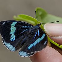 2017-03-25 09-11-19