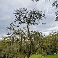 2017-03-30 17-42-39