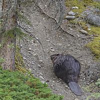 2017-07-18 19-07-44-2