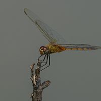 2017-04-04 08-29-59
