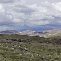 2017-02-21 16-11-24
