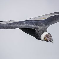 2017-02-22 08-32-54-3