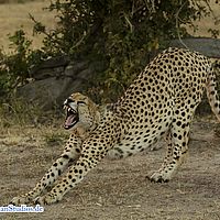 2015-09-09 18-30-38-4