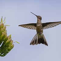 2017-03-03 10-31-37-8