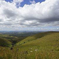 2015-04-11 12-42-21