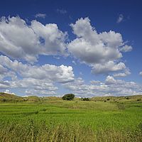 2015-04-11 15-02-54