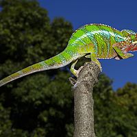 2015-04-19 09-14-36