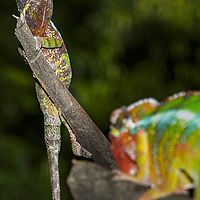2015-04-19 09-23-20-2