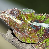 2015-04-19 09-31-52