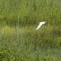 2015-04-19 10-02-32