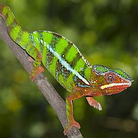 2015-04-19 10-10-47