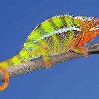 2015-04-19 10-24-22