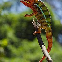 2015-04-19 10-29-46