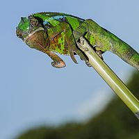2015-04-19 10-37-44