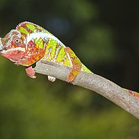 2015-04-19 11-08-47