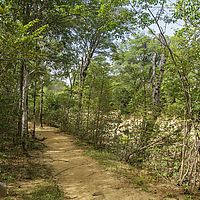 2015-04-20 09-30-56