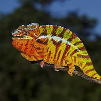2015-04-19 11-23-06