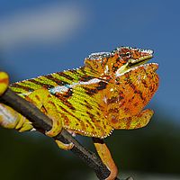2015-04-19 11-30-38