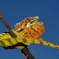 2015-04-19 11-31-14