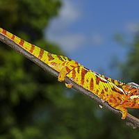 2015-04-19 11-32-30