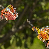 2015-04-19 11-33-25