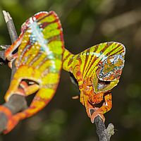 2015-04-19 11-34-15