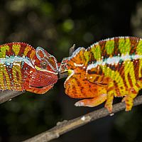 2015-04-19 11-37-34