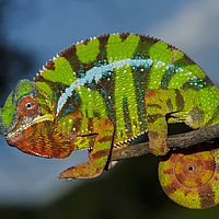2015-04-19 11-51-44