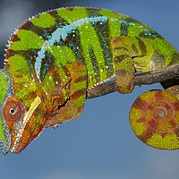 2015-04-19 11-52-59