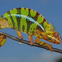 2015-04-19 11-53-42