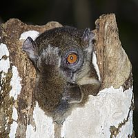 2015-04-20 10-03-00